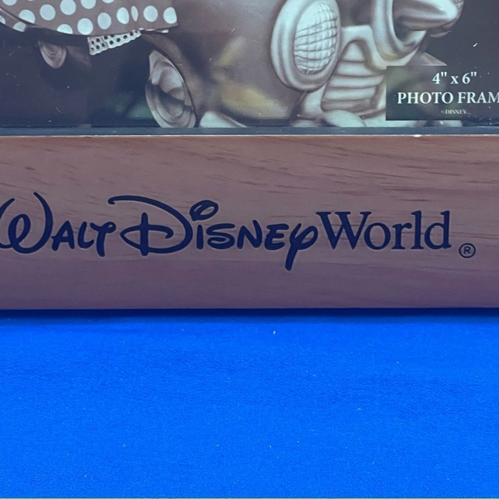 Walt Disney World Frame - Picture 8 of 9